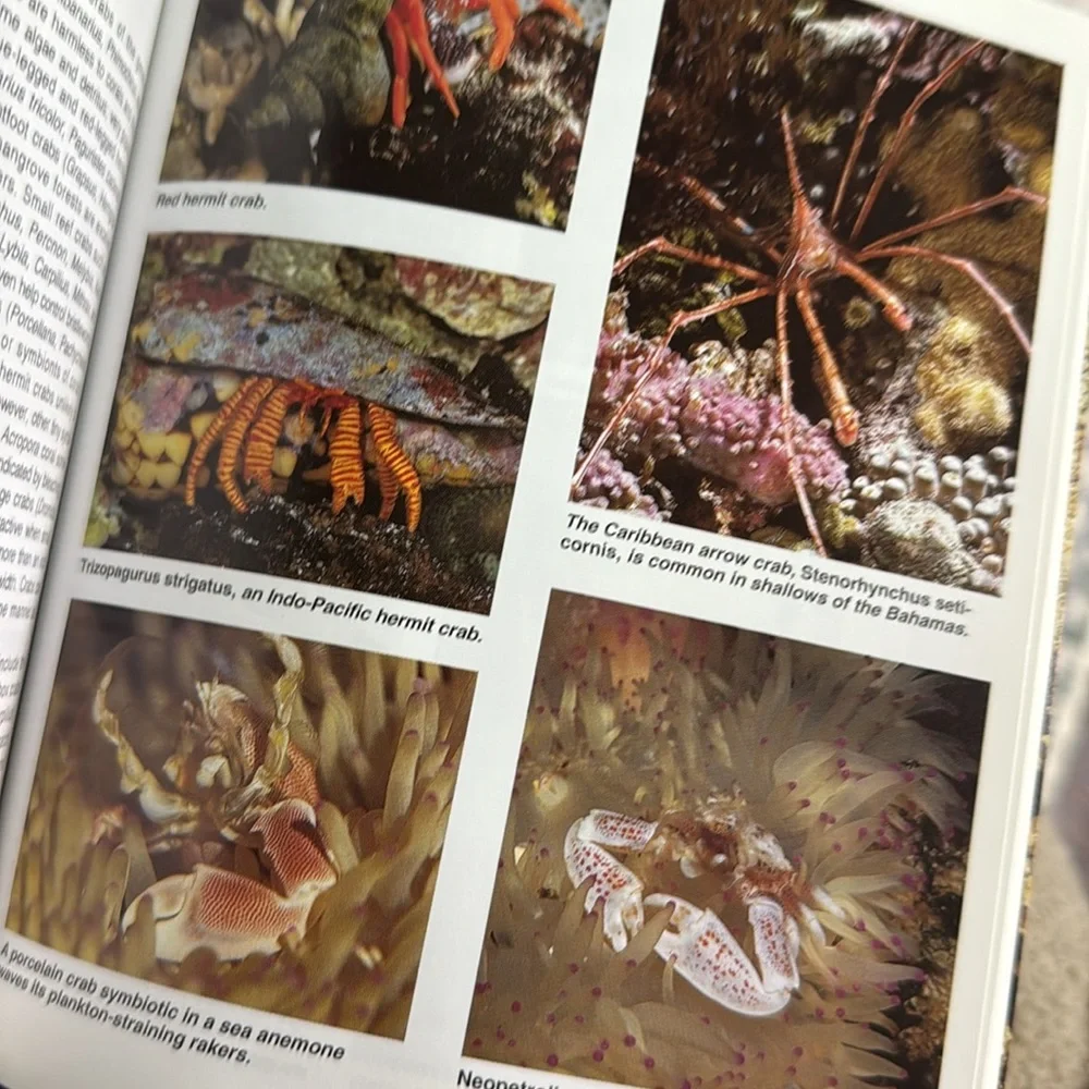 Marine and Saltwater Aquarium Handbook Set of 2.
